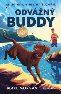 Obálka Odvážný Buddy