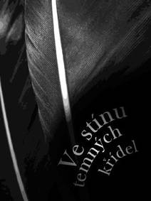 Obálka Ve stínu temných křídel