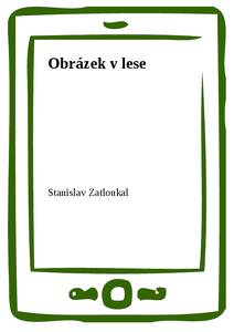 Obálka Obrázek v lese
