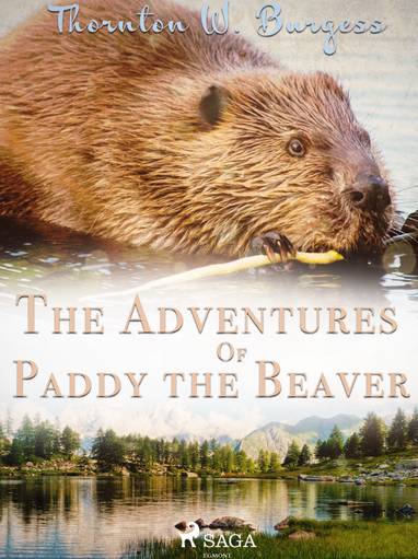 E-kniha The Adventures of Paddy the Beaver - Thornton W. Burgess
