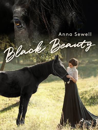 E-kniha Black Beauty - Anne Sewell