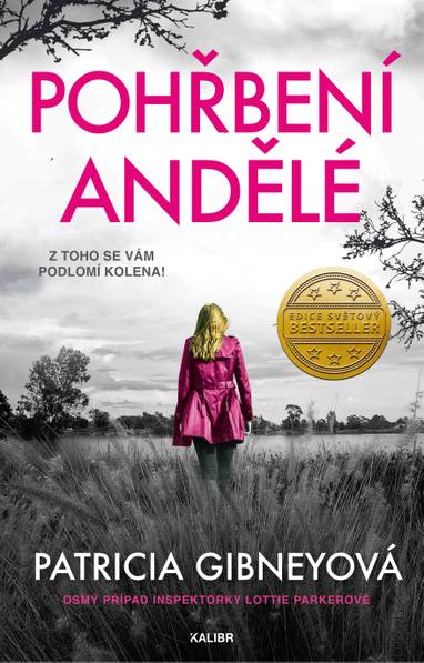 E-kniha Pohřbení andělé - Patricia Gibney