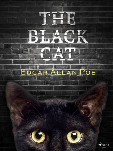 E-kniha The Black Cat - Edgar Allan Poe