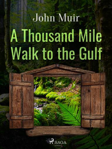 E-kniha A Thousand Mile Walk to the Gulf - John Muir