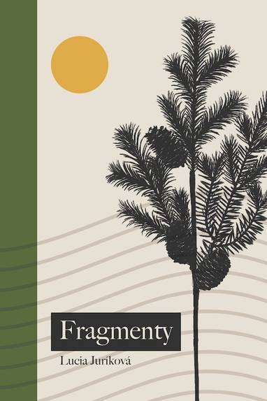 E-kniha Fragmenty - Lucia Juríková