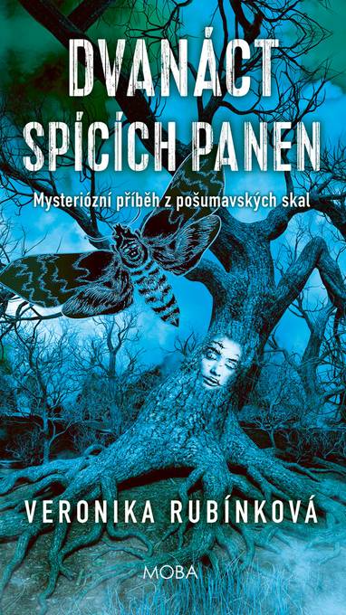 E-kniha Dvanáct spících panen - Veronika Rubínková