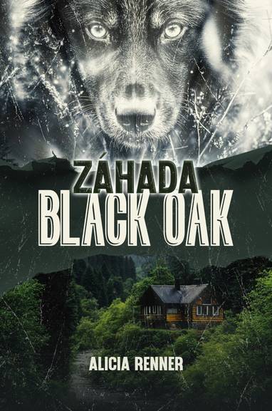 E-kniha Záhada Black Oak - Alicia Renner