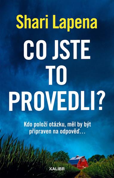 E-kniha Co jste to provedli? - Shari Lapena
