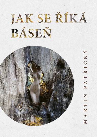 E-kniha Jak se říká kniha - Martin Patřičný
