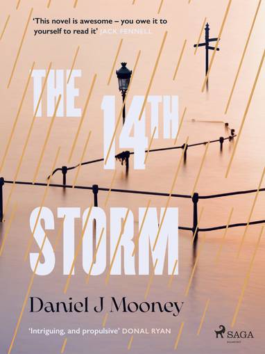 E-kniha The 14th Storm - Daniel J Mooney