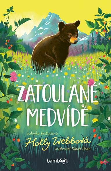 E-kniha Zatoulané medvídě - Holly Webbová, David Dean