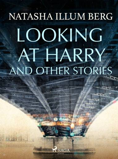 E-kniha Looking at Harry and Other Stories - Natasha Illum Berg