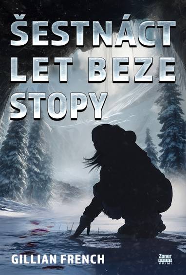 E-kniha Šestnáct let beze stopy - Gillian French