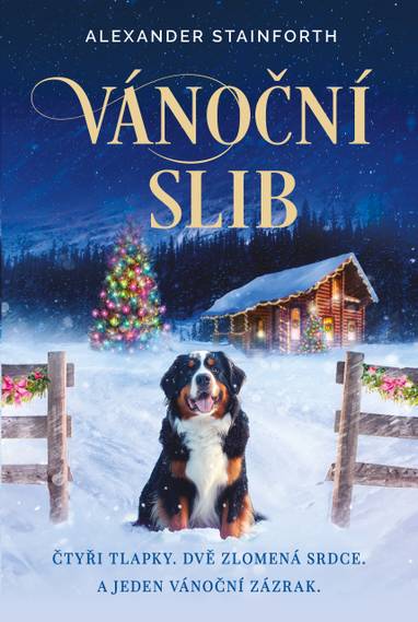 E-kniha Vánoční slib - Alexander Stainforth