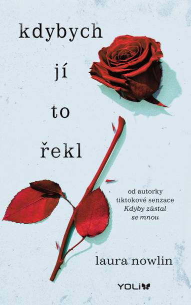 E-kniha Kdybych jí to řekl - Laura Nowlin