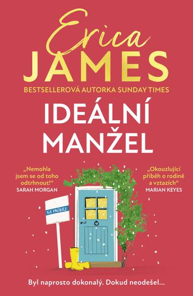 E-kniha Ideální manžel - Erica James