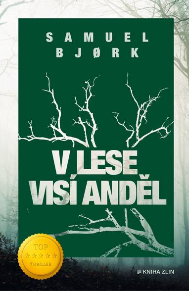 E-kniha V lese visí anděl - Samuel Bjork