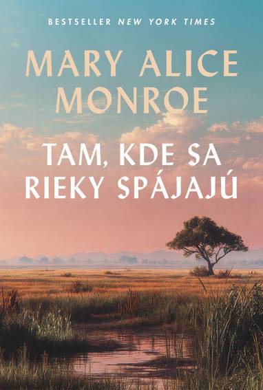 E-kniha Tam, kde sa rieky spájajú - Mary Alice Monroe