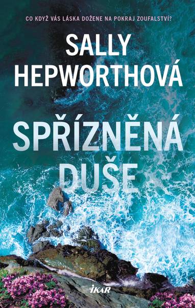 E-kniha Spřízněná duše - Sally Hepworth