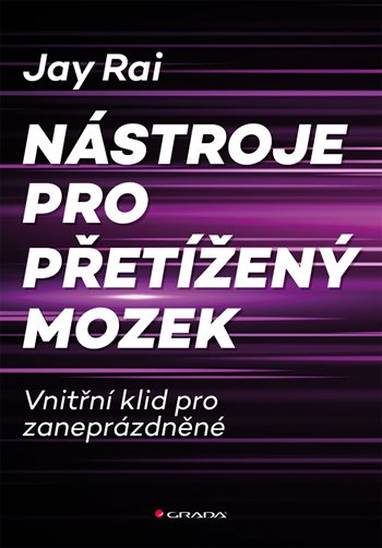 E-kniha Nástroje pro přetížený mozek - Rai Jay