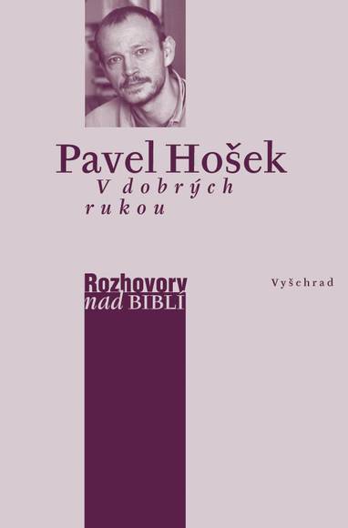 E-kniha V dobrých rukou - Pavel Hošek, Petr Vaďura